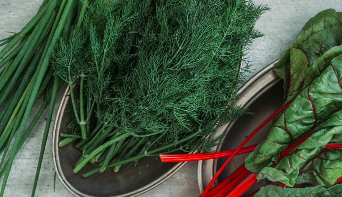 Top view of fresh dill, green onions, and Swiss chard displayed on a table.